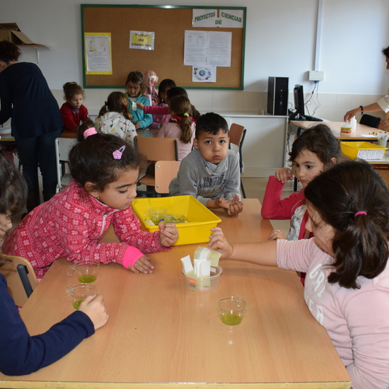 Taller de ciencias con padres 24