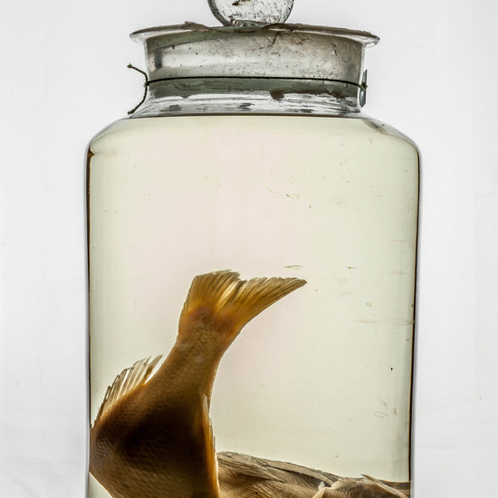 IES_CARDENALCISNEROS_CIENCIASNATURALES_372