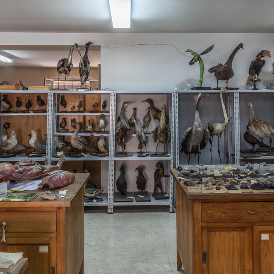 IES_SANISIDRO_EDIFICIO_033