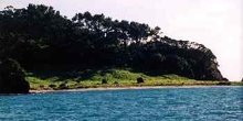 Playa de una isla en Bahía de Islas, Nueva Zelanda