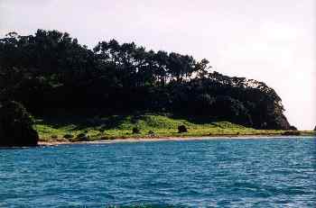 Playa de una isla en Bahía de Islas, Nueva Zelanda