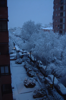 Nevada en Madrid, Comunidad de Madrid