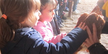 Granja Escuela Educación Infantil Curso 2017-18_2 4