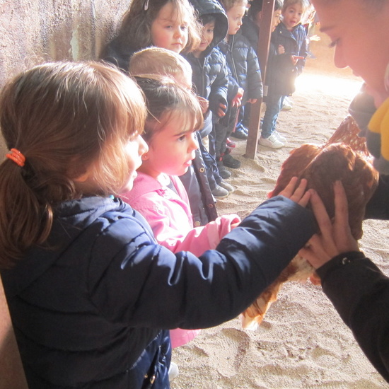 Granja Escuela Educación Infantil Curso 2017-18_2 4