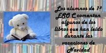 Booktubers 1º ESO C - IES Miguel Delibes