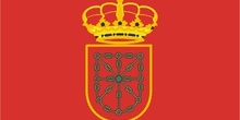Bandera de la Comunidad Foral de Navarra