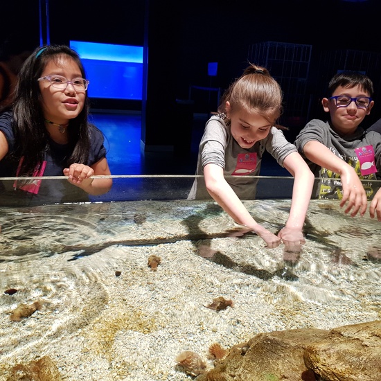 Fotos Aquarium Xanadú 3ºB 13