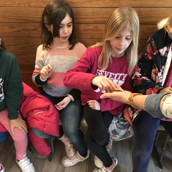 2020_02_27_3º visita Insectpark (4)_CEIP FDLR_Las Rozas 8