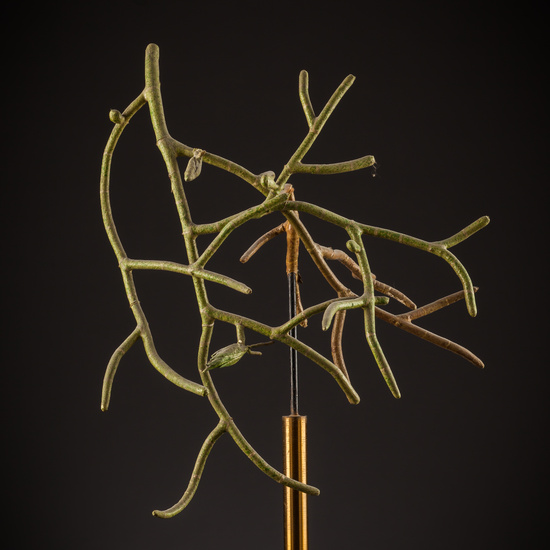 IES_SANISIDRO_BIOLOGIA_233