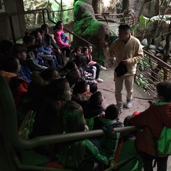 Parque de la Naturaleza. Faunia. 5º Curso. 16