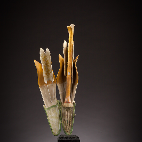 IES_ISABELLACATOLICA_BIOLOGIA_028