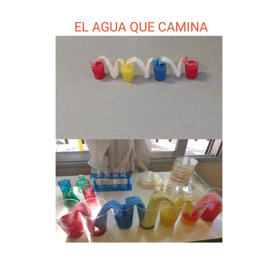 JORNADAS TEMÁTICAS 2021 