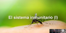 Tema 7 El sistema inmunitario (I)