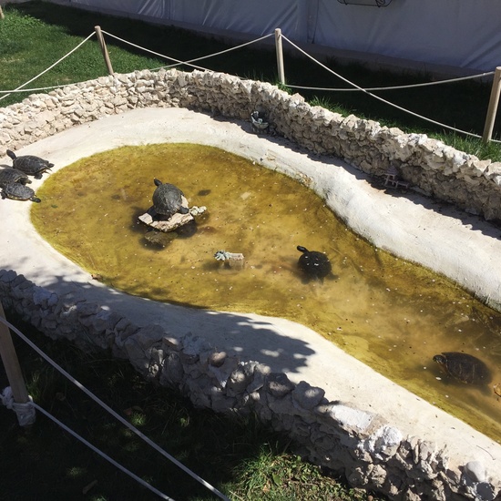 4º en la Granja Escuela El Rodeo. 19