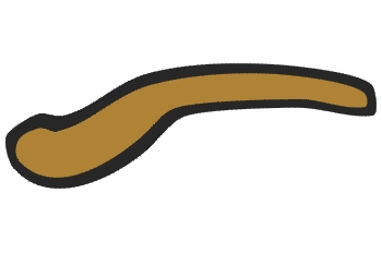 Ceja marrón izquierda