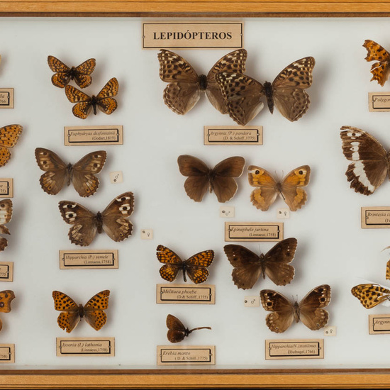 IES_ISABELLACATOLICA_BIOLOGIA_256