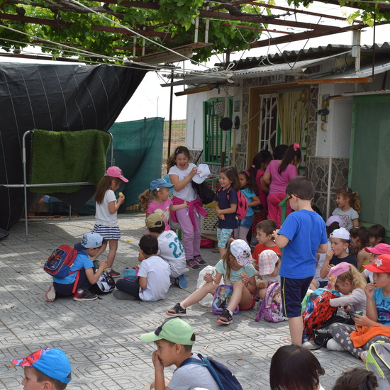 Siembra Huerta Balta 5 años 2018 35