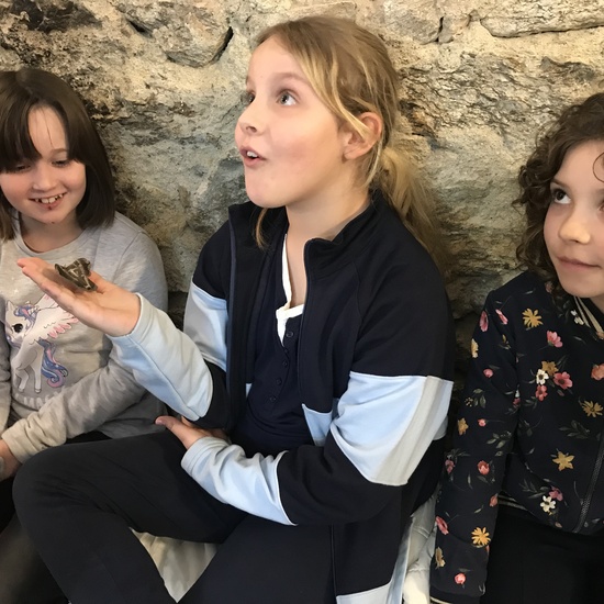 2020_02_27_3º visita Insectpark (5)_CEIP FDLR_Las Rozas 29