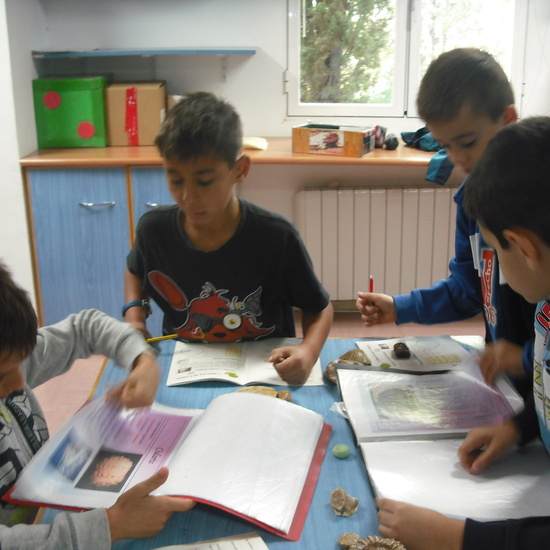 GRANJA PRIMERA PARTE 14