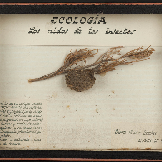 IES_LOPEDEVEGA_TECNOLOGIA_090