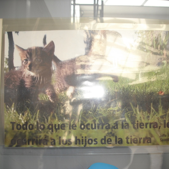 granja quinta parte 36