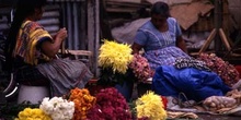 Vendedoras en el mercado de flores de Antigua, Guatemala