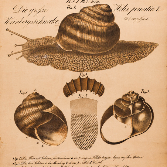 IES_LOPEDEVEGA_CIENCIASNATURALES_018