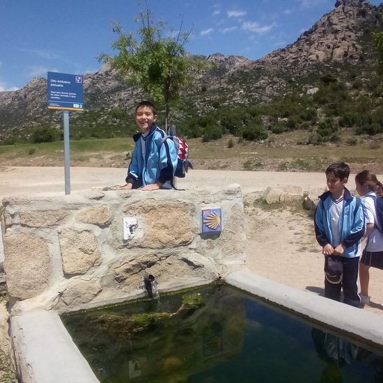 Camino de Santiago 3º EP 4