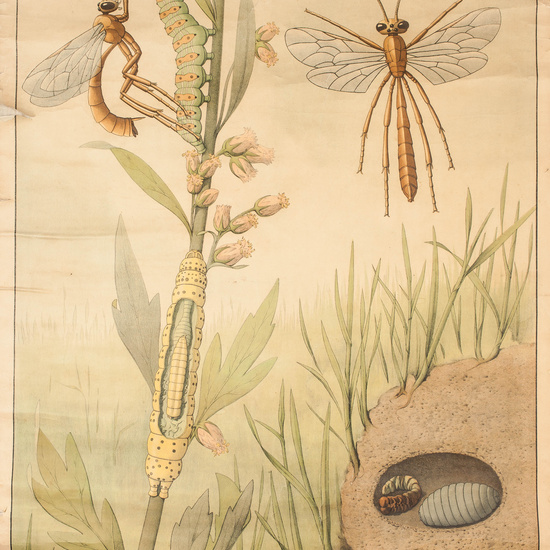 IES_RAMIRODEMAEZTU_BIOLOGIA_007