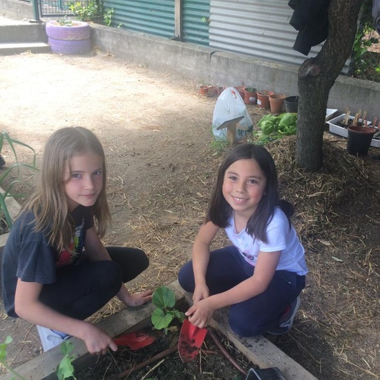 2019_05_Los alumnos de 4º en el Huerto_CEIP FDLR_Las Rozas 11