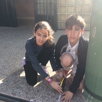 Quinto mide el Colegio 38