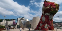 Imágenes del Museo Guggenheim Bilbao.