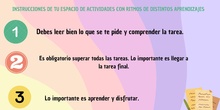 Instrucciones T5 Canva