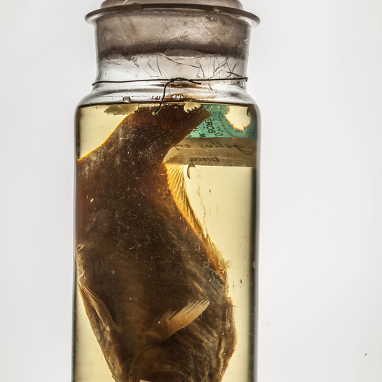 IES_CARDENALCISNEROS_CIENCIASNATURALES_178