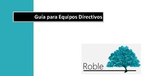 ROBLE-WEB-Dirección-Visual