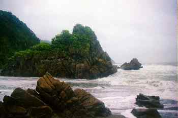 Formaciones geológicas en la costa del mar de Tasmania, Nueva Ze