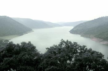 Vista del río Tajo - Monfragüe, Cáceres