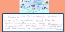 La flor. Martina 2ºA