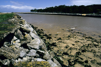 Tramo medio de la desembocadura de la ría de Villaviciosa, Princ