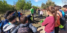 Salida Bosque Sur.3º de Primaria. Octubre 2019 15