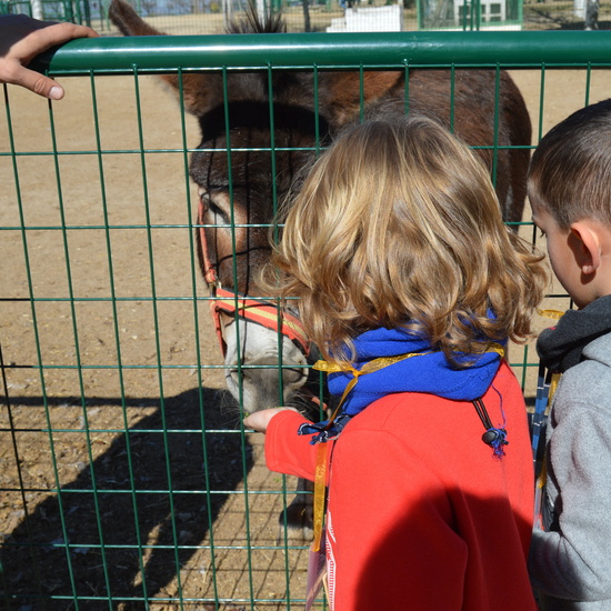 GRANJA ESCUELA ALBITANA 2018 25
