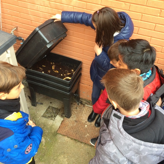 The vegetable garden in autunm 1