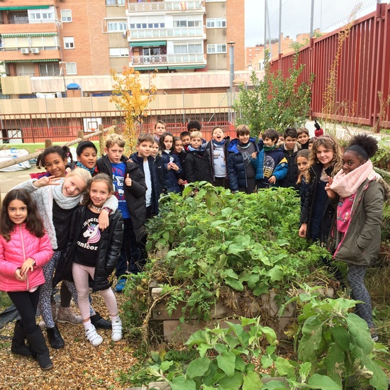 The vegetable garden in autunm 3