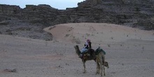 Camellos en el desierto Wadi Rum, Jordania