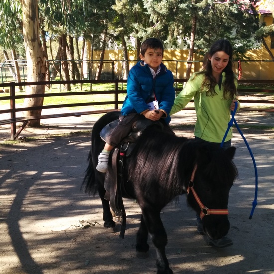 2016_inf 4 años a visita la granja 43