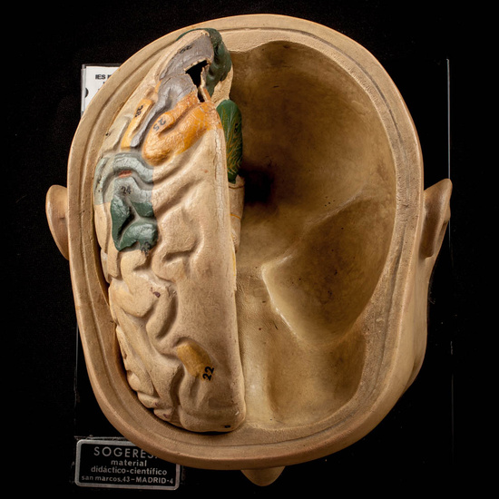IES_ISABELLACATOLICA_ANATOMIA_017