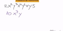 Producto de monomios