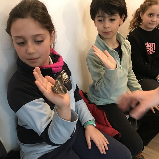 2020_02_27_3º visita Insectpark (4)_CEIP FDLR_Las Rozas 31