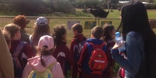 PRIMARIA 1º -  VISITA AL SAFARI PARK - SCIENCE - ACTIVIDADES