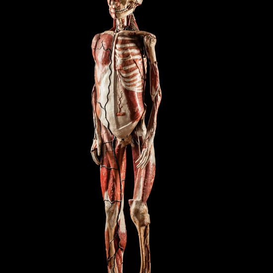 IES_CERVANTES_BIOLOGIA_071